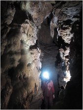 Thumbnail of photo from this article